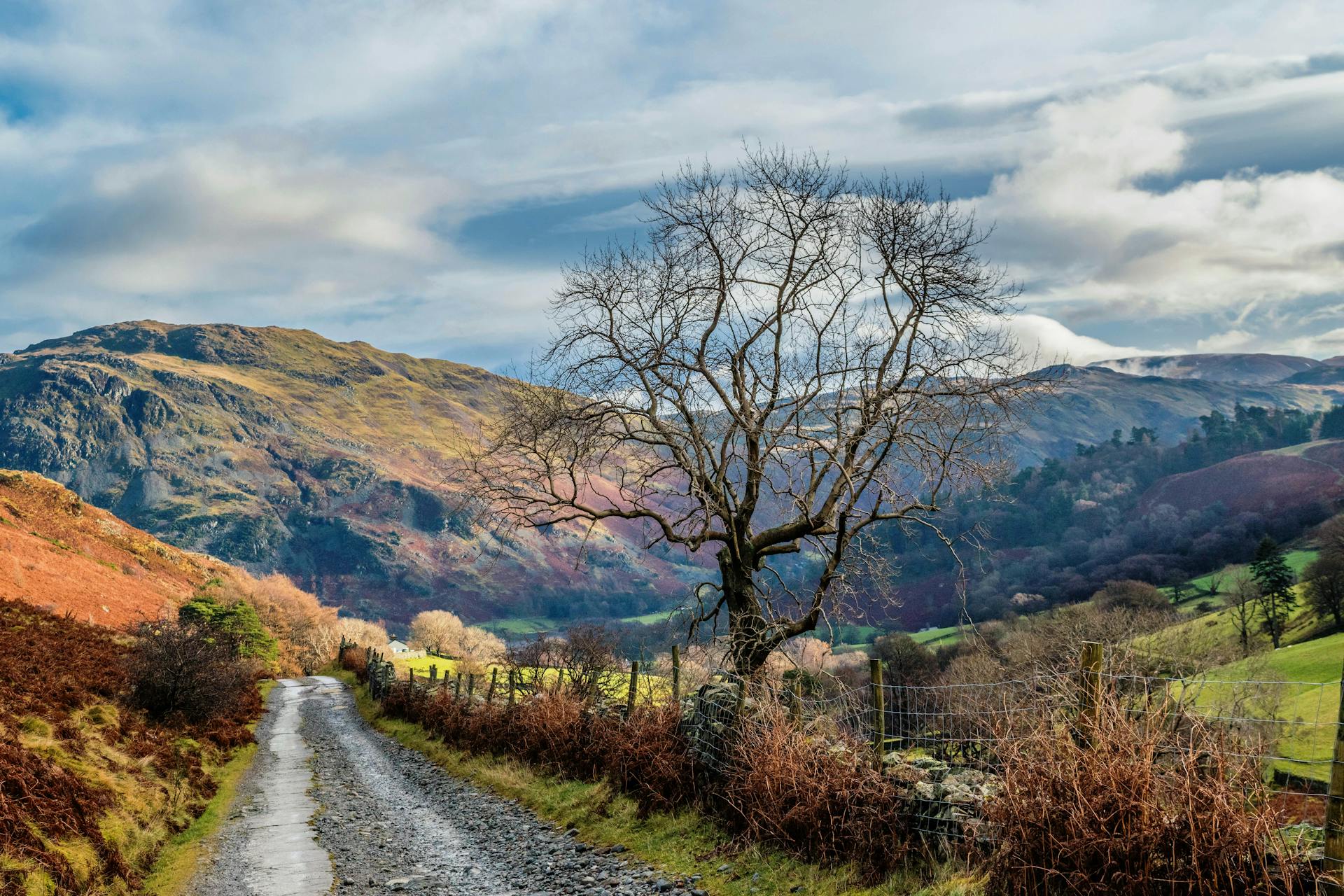 Highest Peaks in the UK